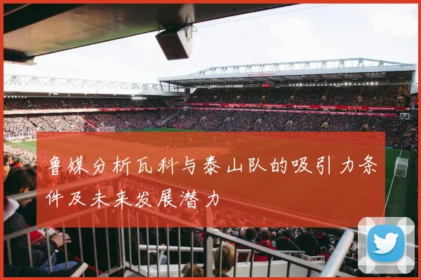 鲁媒分析瓦科与泰山队的吸引力条件及未来发展潜力