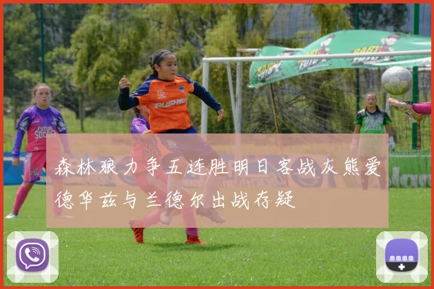森林狼力争五连胜明日客战灰熊爱德华兹与兰德尔出战存疑