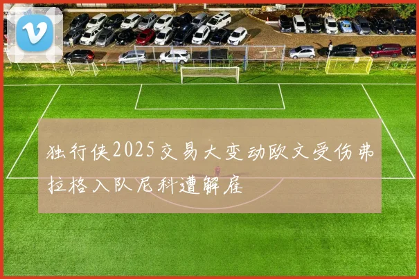 独行侠2025交易大变动欧文受伤弗拉格入队尼科遭解雇