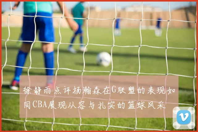 徐静雨点评杨瀚森在G联盟的表现如同CBA展现从容与扎实的篮球风采